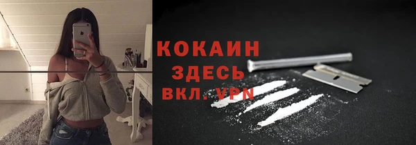 мяу мяу мука Болохово